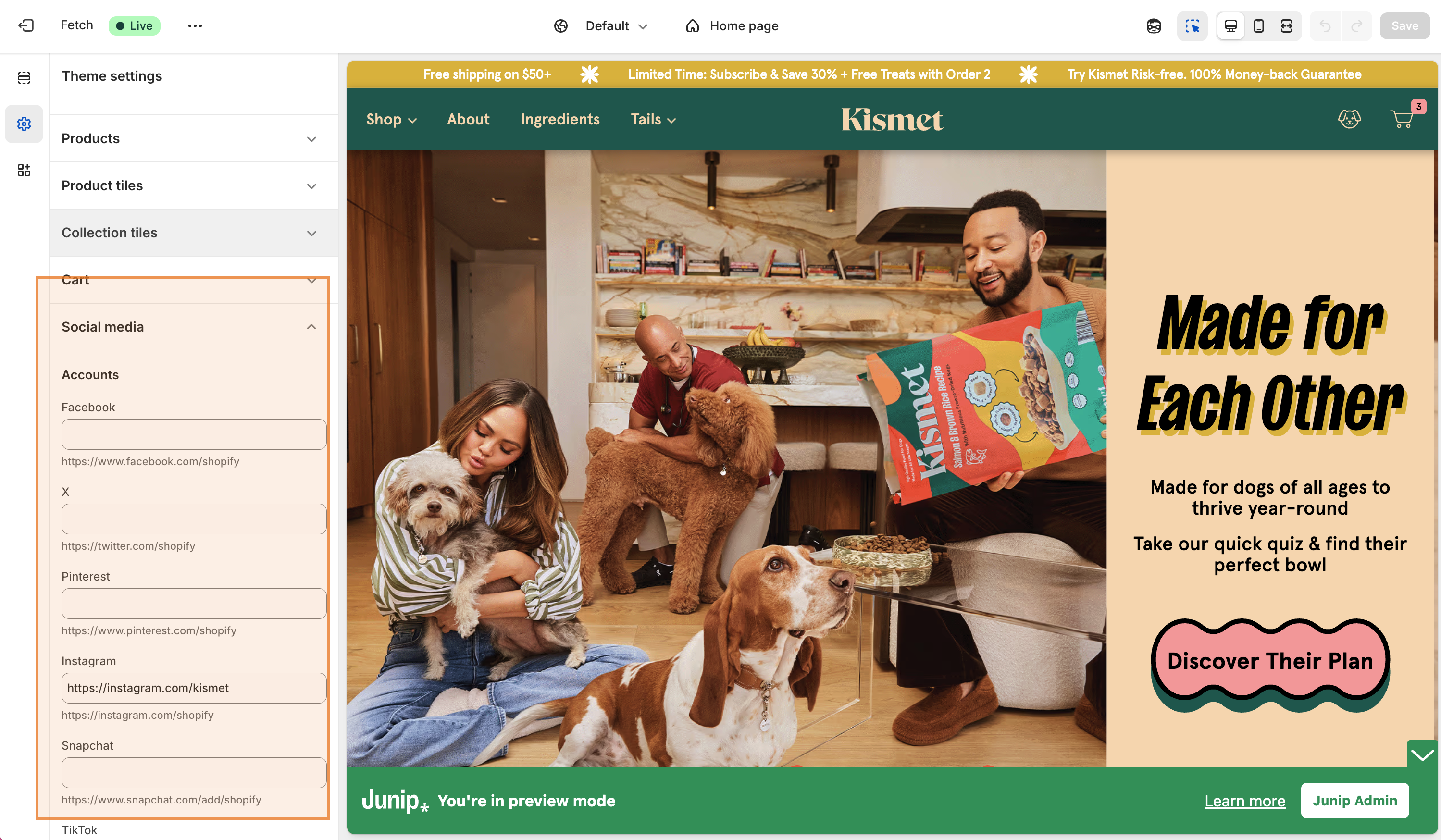 Theme Settings — Social media section expanded